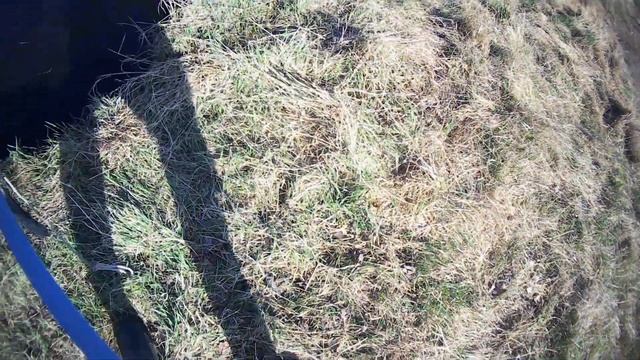 Рыбалка пауком(подъемником).Ловля карася! смотреть онлайн