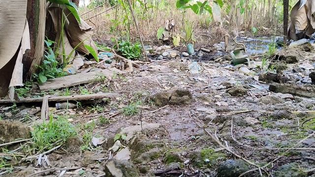 JERAT RUAK DI BELAKANG RUMAH LANGSUNG PANENFILM ACTION TERBARU 2021 SUBTITLE INDONESIA - FILM AKSI смотреть онлайн