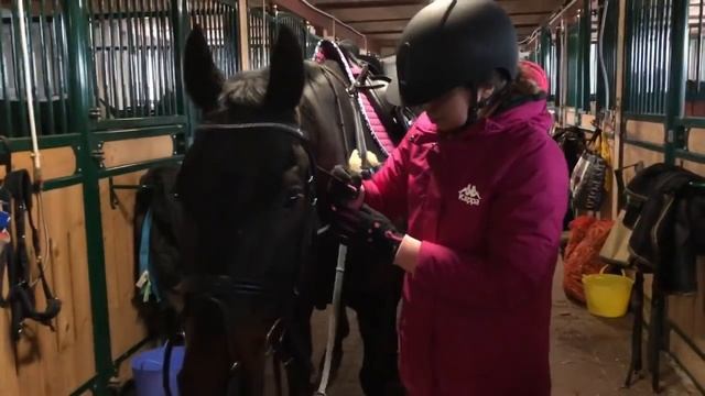 Vlog! Выездная тренировка по конкуру. смотреть онлайн