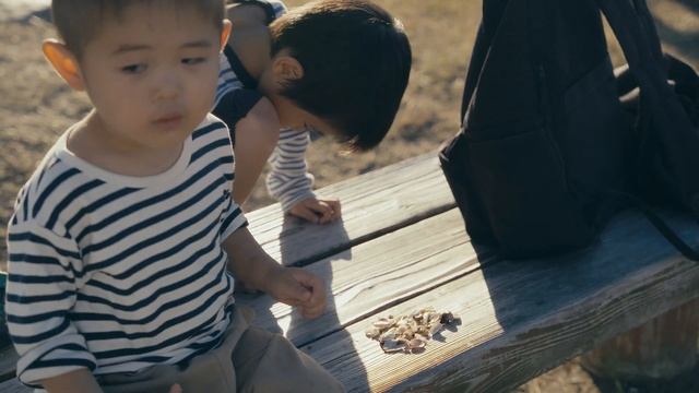 葛西臨海公園 / SONY A7C / SIGMA28-70mm F2.8 / cinematic vlog 122 смотреть онлайн