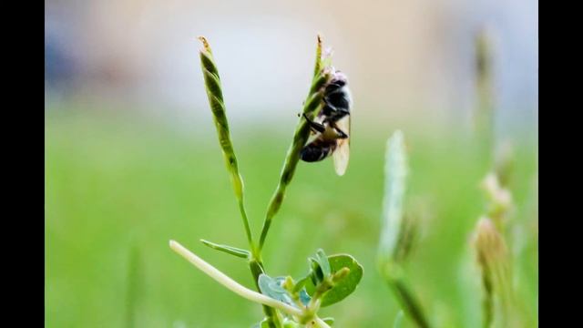 Canon EOS 600D Pictures with1855mm Kit Lens смотреть онлайн
