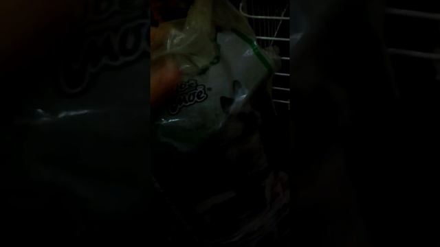 Чем питается моя шиншилла смотреть онлайн