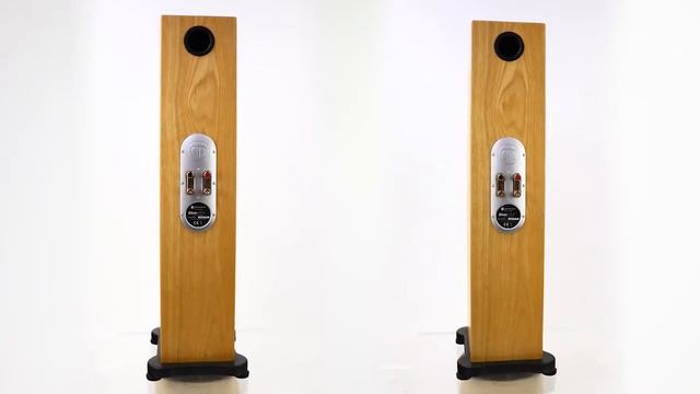 Monitor Audio Silver RS6 смотреть онлайн