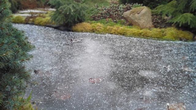 БОЖЕСТВЕННАЯ МЕРА КРАСОТЫ-ПРИРОДНЫЕ ФРАКТАЛЫ смотреть онлайн