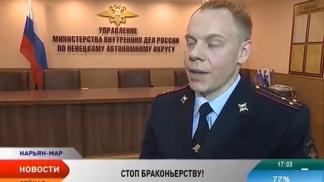 Полицейские НАО задержали жителя округа за незаконный отстрел лося смотреть онлайн