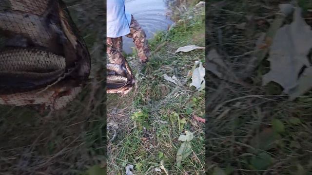 25 января 2023 г. смотреть онлайн