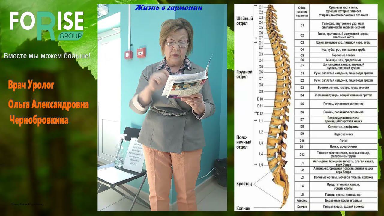 FORISE GROUP. Как помочь здоровью позвоночника? Рекомендации врача. Хоротин, Гесугел. смотреть онлайн