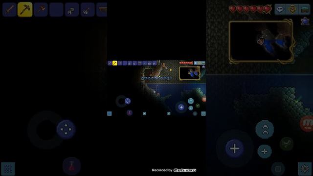 ОЧЕНЬ МНОГО ЛУТА.ТЕРРАРИЯ #1 смотреть онлайн