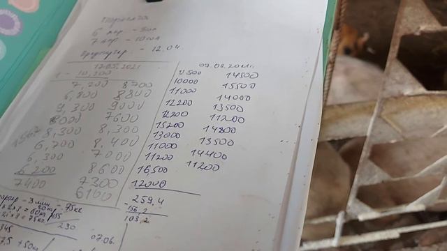 ПОРОСЯТАМ 3 МЕСЯЦА смотреть онлайн