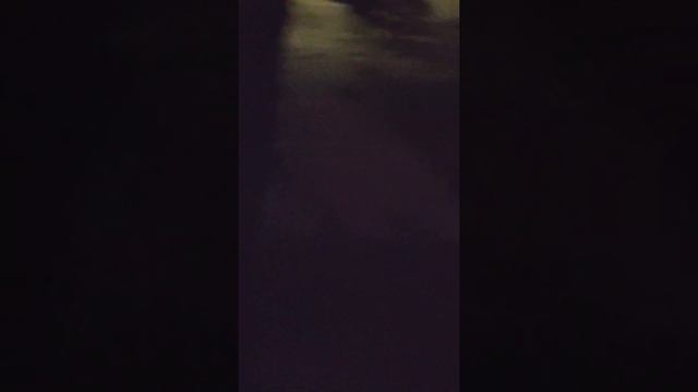 Каждодневные гулянки гагаузы квартирантов Одесса Варненская 11-а