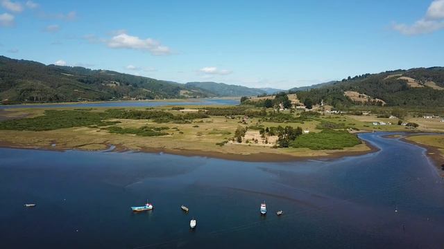 The Forgotten Fish of Chile: How tech and data can strengthen Chile's Sierra fishery смотреть онлайн