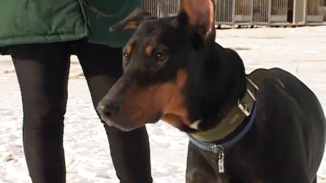 "Чекаю на тебе" выпуск № 18 смотреть онлайн