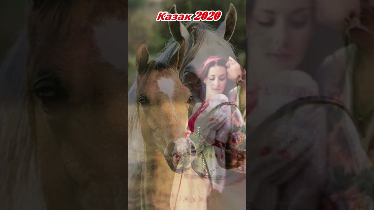 Цыганская песня "Казак 2020" #gypsy #цыганскиепесни #shorts #youtubeshorts #цыганскиетанцы смотреть онлайн