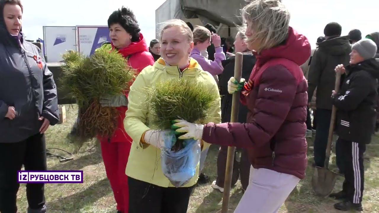 Лес Победы смотреть онлайн