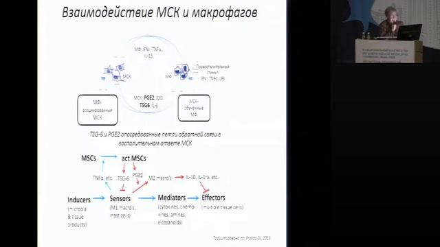 Взаимодействие МСК и МФ смотреть онлайн