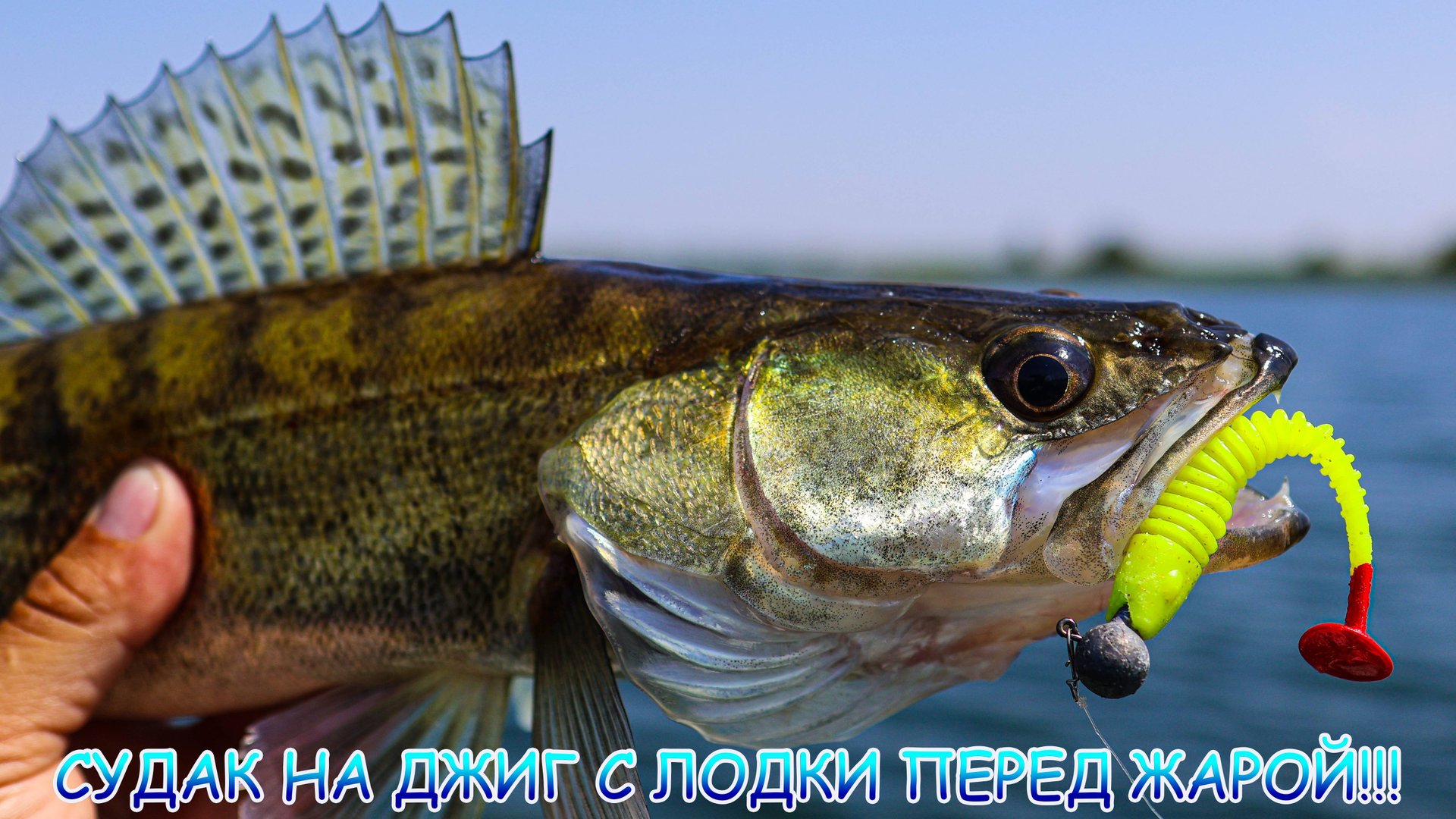 Судак на джиг с лодки! Нужно успеть перед жарой! смотреть онлайн