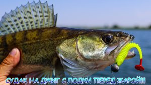 Судак на джиг с лодки! Нужно успеть перед жарой!