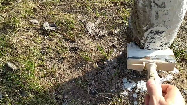 Побелка садовая. Белим деревья! смотреть онлайн