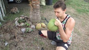 Как вырастить кокос.