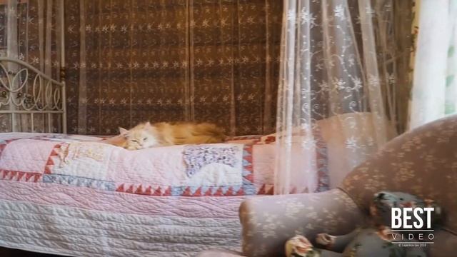 Аэросъемка дома в Красноярске Зимой смотреть онлайн
