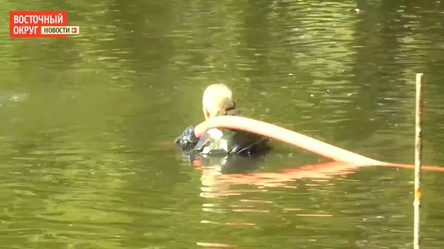 Водолазы очистили Серебряно-Виноградный пруд смотреть онлайн