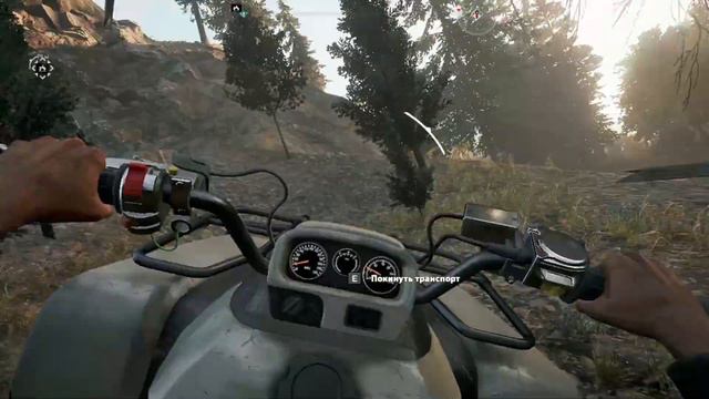 Цветы радости ► Far Cry 5 2022 #8