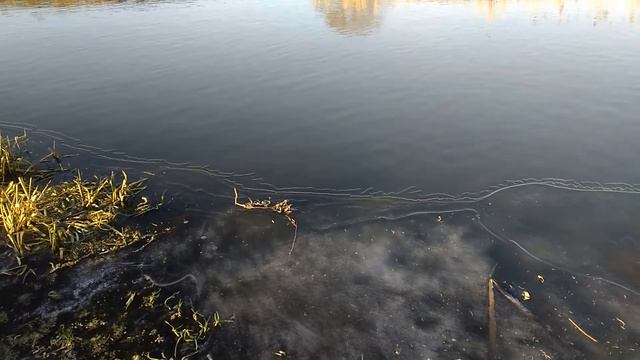 мини тест петард под водой. mini firecracker test under water смотреть онлайн