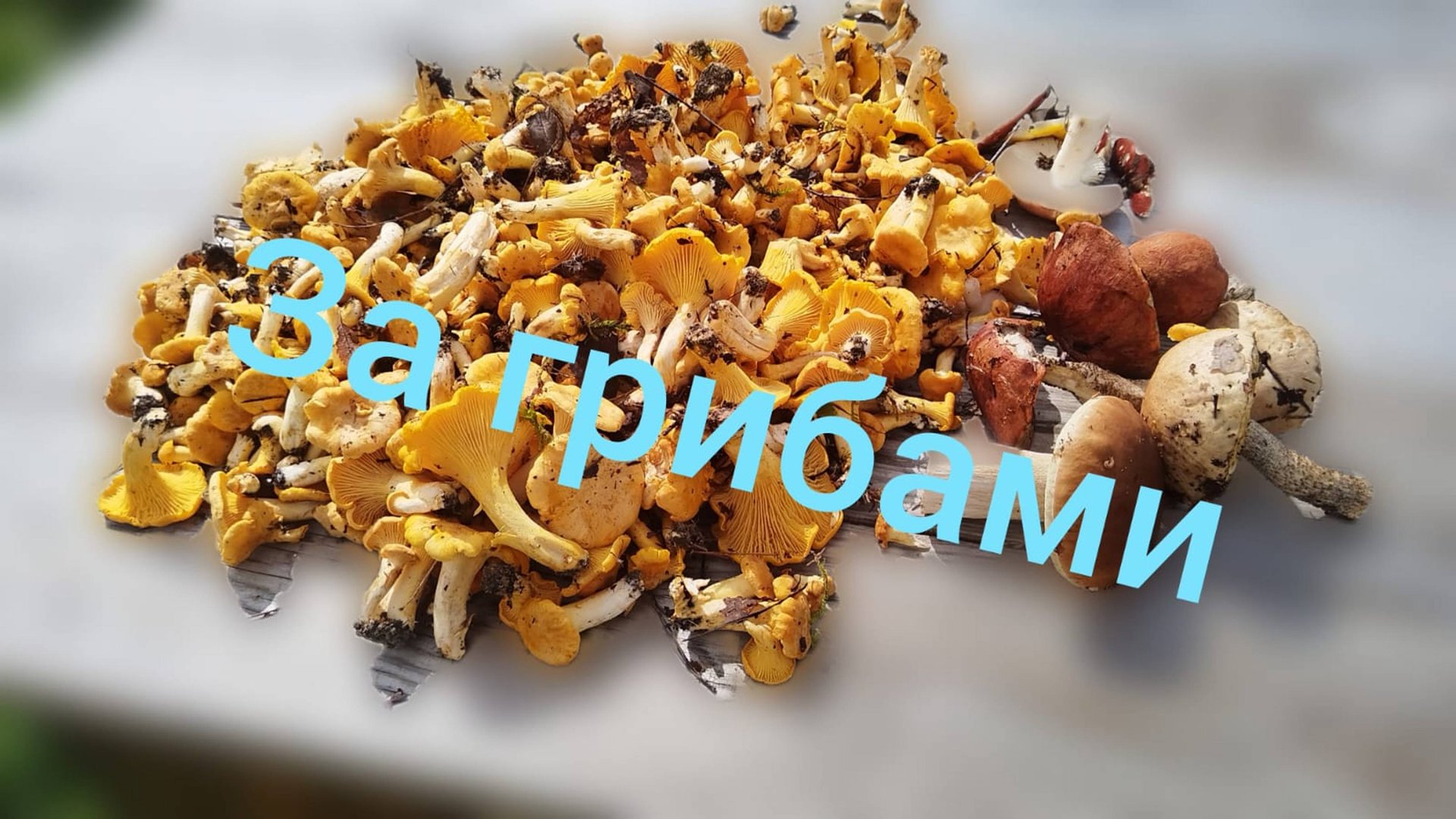 Лада Нива Тревел/// За грибами смотреть онлайн