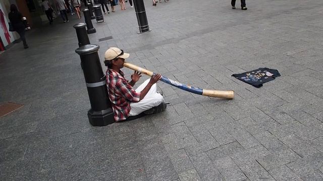 MONKEY MEETS - DIDGERY DOO MAN смотреть онлайн