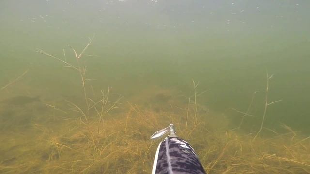 Подводная охота 2019. Уникальный артефакт под водой! смотреть онлайн