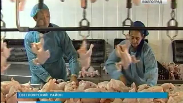 Губернатор Сергей Боженов посетил Светлоярский район смотреть онлайн
