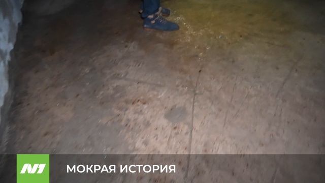 МОКРАЯ ИСТОРИЯ