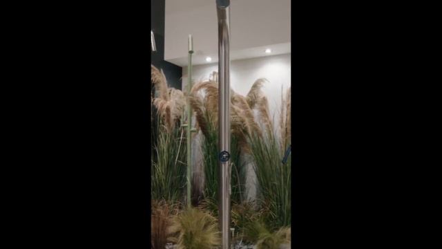 Bongio Shorts Salone24 Detagli 4 1280x720