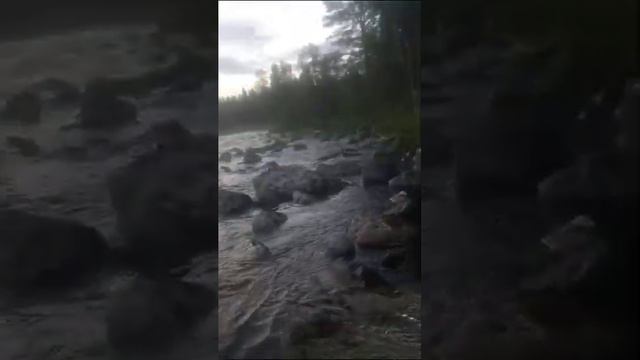 Горная река -Карелия 2023_белые ночи смотреть онлайн