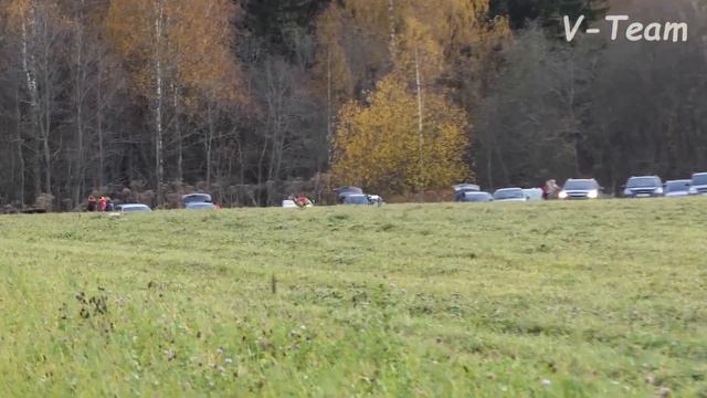 Уиппеты VALPAIN PEK AKIO HOTARU (К) - KORVET ZVEZDNYY IZ POLETA MECHTI (Б). CACIL-2019. Ярославка. смотреть онлайн