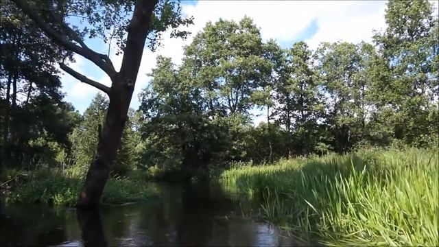 Узлянка - Нарочанка | Сплав на байдарках | Июль 2016 смотреть онлайн