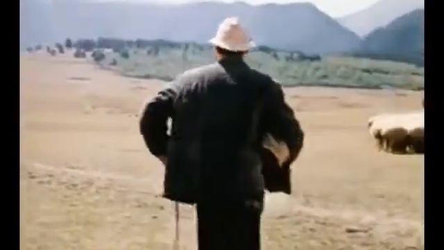 В месте его 8 баранов смотреть онлайн