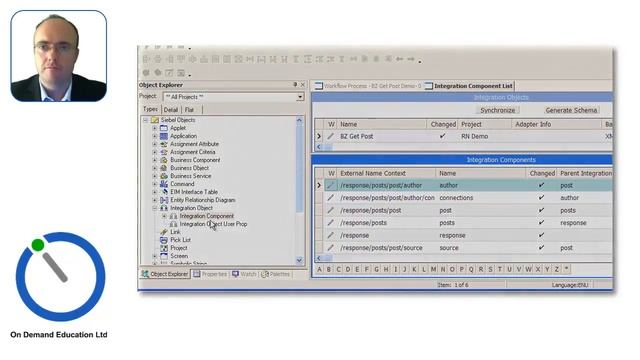 Buzzient Social API - Get Started with Siebel Workflow смотреть онлайн