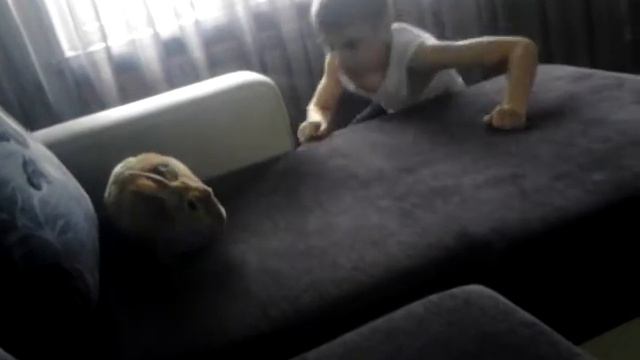 Игорь с кроликом 10 ( ржака) смотреть онлайн