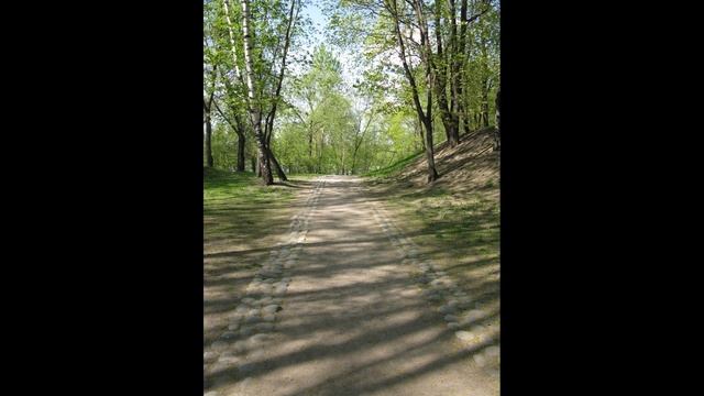 Тропинка в лесу. Трансовые техники. Логинова Ольга смотреть онлайн