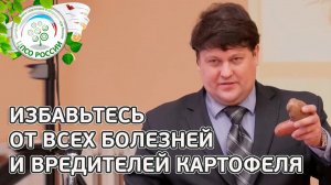 ВСЯ ПРАВДА ОБ УДОБРЕНИЯХ И ЯДАХ ДЛЯ КАРТОФЕЛЯ. Болезни и вредители картофеля.  Лекция