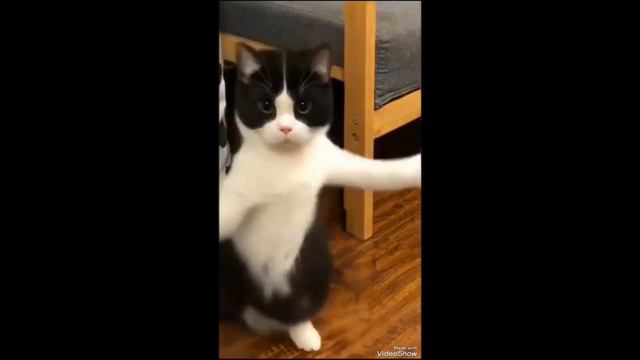 БОБА смотреть онлайн