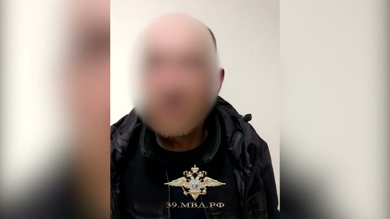 Калининградские полицейские вернули заявителю похищенный кошелёк смотреть онлайн