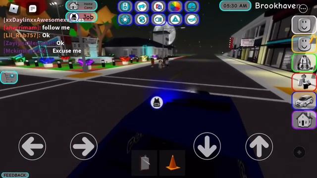 I WAS A FBI AGENT IN ROBLOX! | BROOKHAVEN RP! | ROBLOX | LIL ROB TV смотреть онлайн