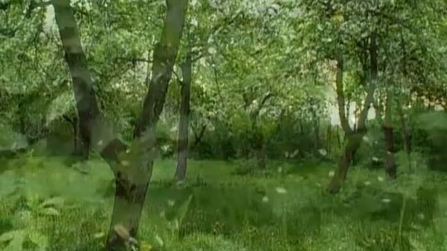 Святитель Игнатий Брянчанинов - Учитель покаяния