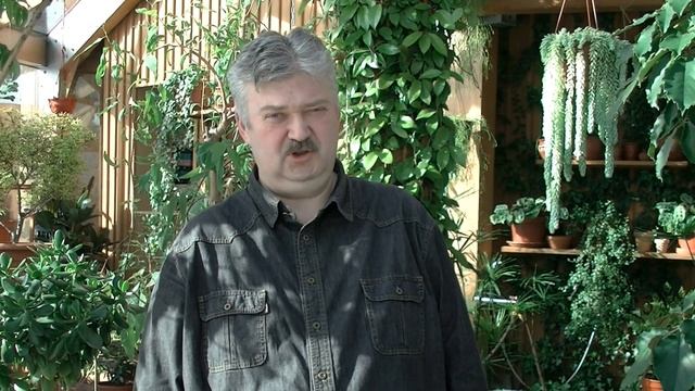 Как выбрать правильный грунт (субстрат) при выращивании рассады. смотреть онлайн