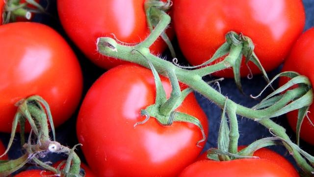 1 КАПЛЯ И ТОМАТЫ ЗАВАЛЮТ ВАС УРОЖАЕМ смотреть онлайн