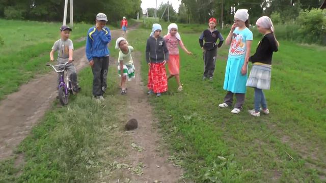 Приглашение деревенских на костёр и ёжик. 12.06.15 Православный детский лагерь-стан. 89612307 смотреть онлайн
