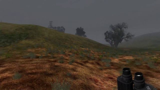 S T A L K E R Call of Pripyat dsh mod Компромат смотреть онлайн
