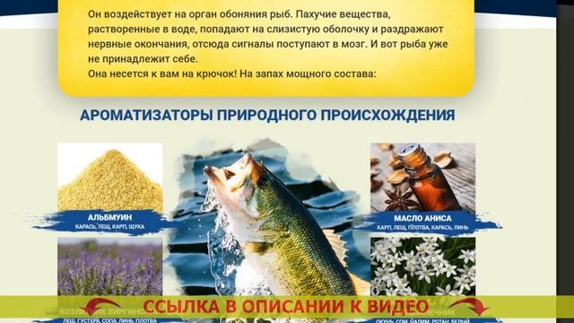 АКТИВАТОР КЛЕВА СУДАКА ? КУПИТЬ ПРИКОРМКУ БОМБА ❕ смотреть онлайн